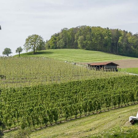 Ferienwohnung Lang Kressbronn am Bodensee Ngoại thất bức ảnh