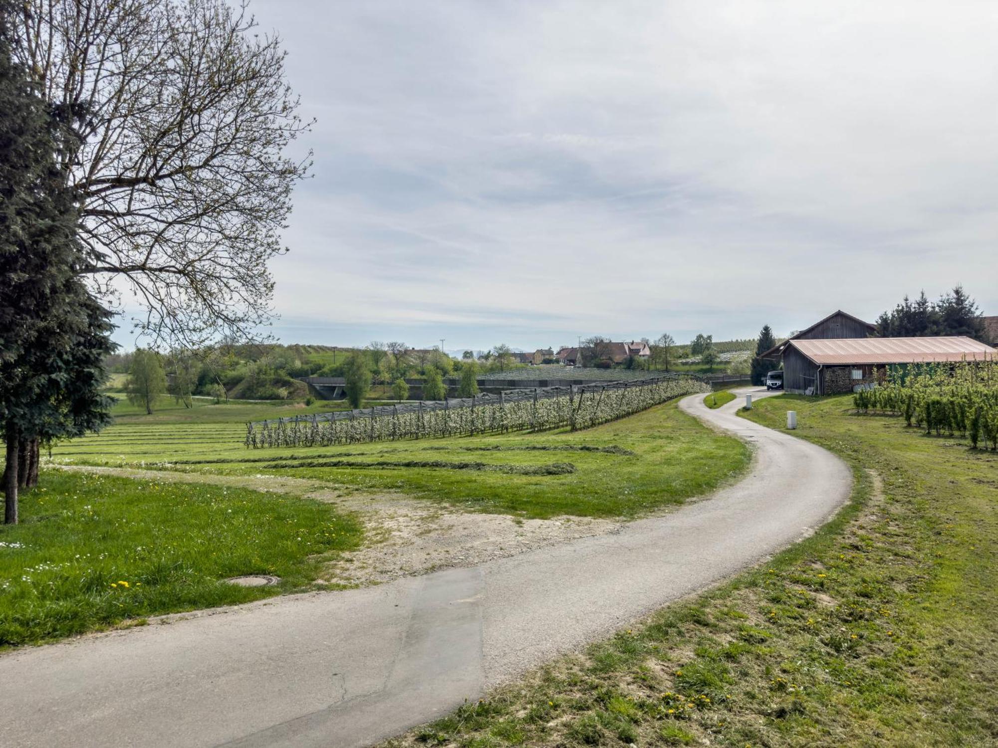 Ferienwohnung Lang Kressbronn am Bodensee Ngoại thất bức ảnh