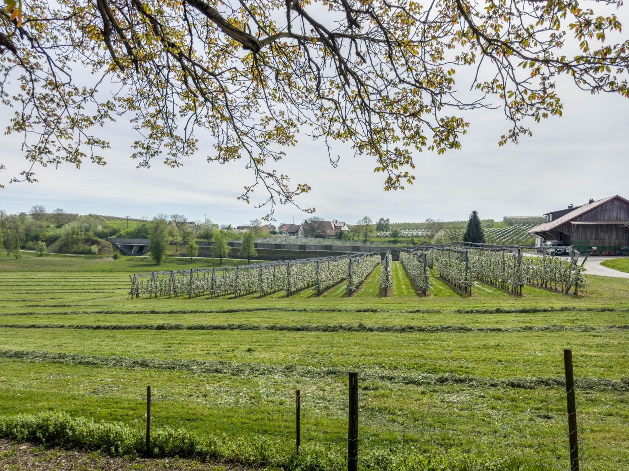 Ferienwohnung Lang Kressbronn am Bodensee Ngoại thất bức ảnh